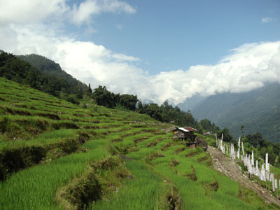 Lingthem Village, Dzongu, North Sikkim, India