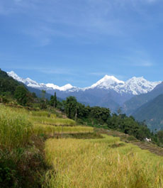 Kanchendzonga visible from Lingthem