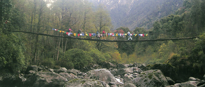 Cane bridge in Tholung