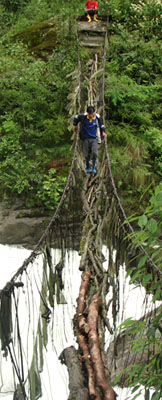 Crossing Cane Bridge in Dzongu, North Sikkim, India